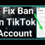 TikTok's Content Removal Policy
